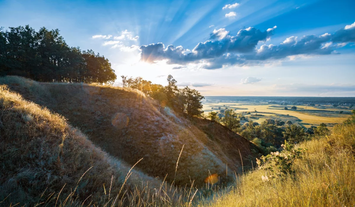 BDO vs Chorwacja: porównanie polskiego systemu BDO i chorwackich przepisów odpadowych dla firm eksportujących